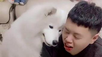 吃瓜狼爷,揭秘娱乐圈背后的神秘故事