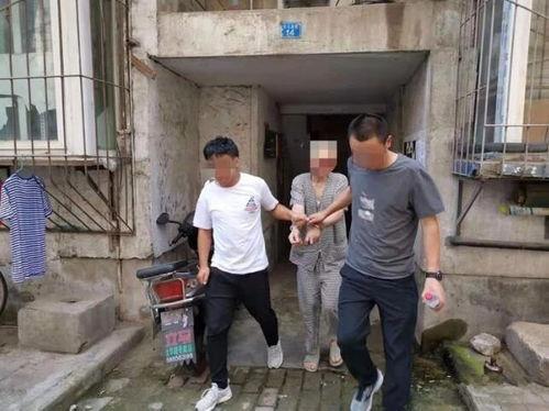 砀山吃瓜打架案件,一场网络围观下的现实冲突