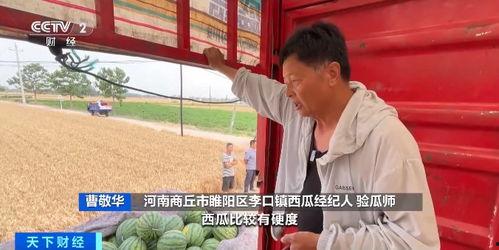 河南援疆吃瓜视频,一场别开生面的吃瓜盛宴