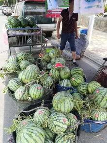 湖南涟源吃瓜事件