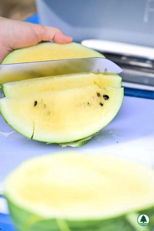 吃瓜中心香港,吃瓜中心的繁华与魅力