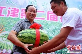 重庆吃瓜社区,麻辣鲜香，揭秘山城美食风云录