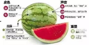 微信吃瓜最新入口,一键解锁热门话题，畅享娱乐盛宴！