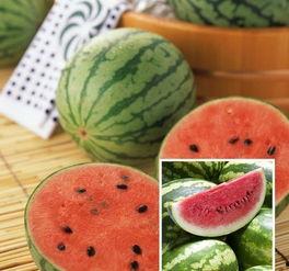 五人组吃瓜,揭秘娱乐圈背后的秘密与八卦