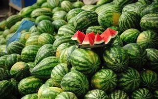 吃瓜可以变甜吗,吃瓜真的能让瓜变甜吗？