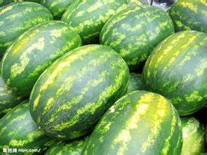 吃瓜情报站最新瓜