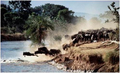 春山学吃瓜视频,揭秘网红美食背后的故事