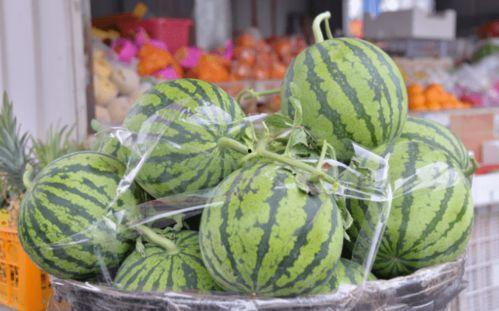 大量吃瓜视频,揭秘海量吃瓜视频背后的趣味与真相