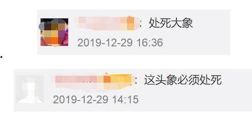 手机吃瓜群众照片,揭秘娱乐圈幕后故事
