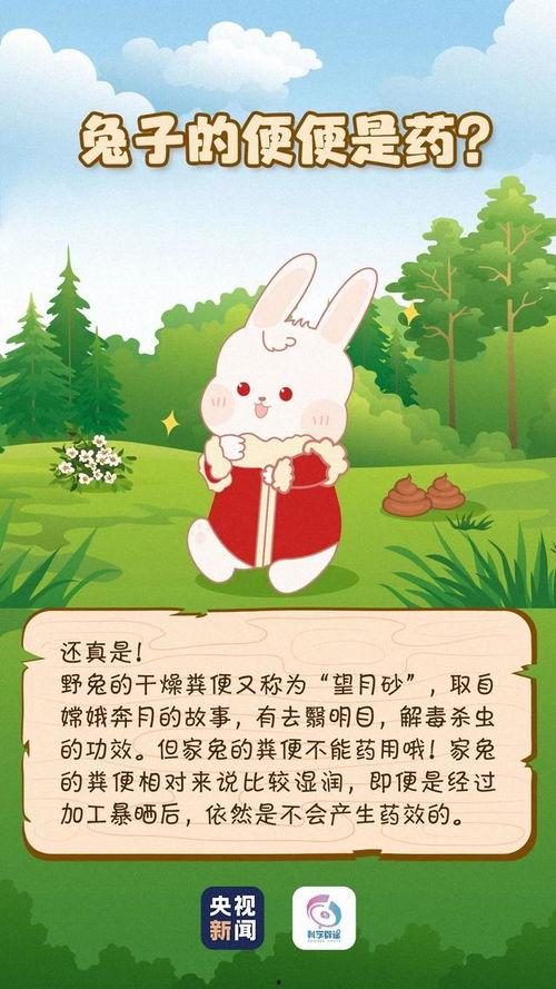 小兔吃瓜美术教案
