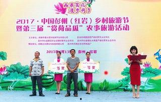 吃瓜群众活动策划,吃瓜群众欢乐集结活动概览