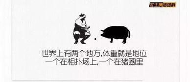 班里吃瓜文案搞笑短句,班级吃瓜文案搞笑短句大盘点