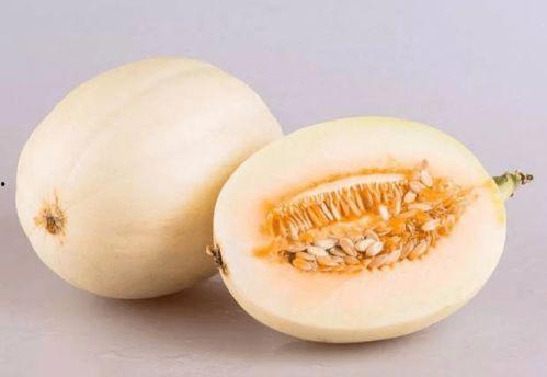 惠州水东江吃瓜,夏日吃瓜胜地，尽享清凉时光