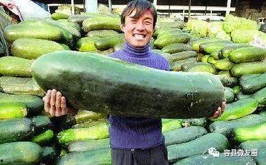 不爱抬杠的吃瓜