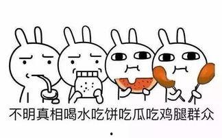 不爱抬杠的吃瓜