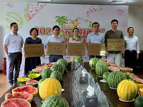 常熟野外吃瓜,夏日休闲新风尚