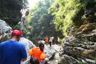 峡谷大型吃瓜现场视频