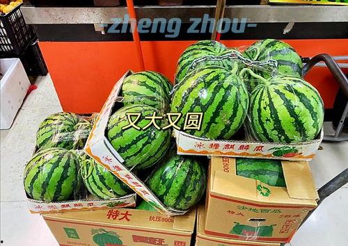 郑州吃瓜最新事,揭秘幕后真相与网络热议焦点