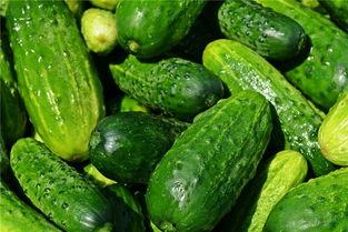 做梦梦见在瓜地吃瓜,瓜地吃瓜的奇幻体验