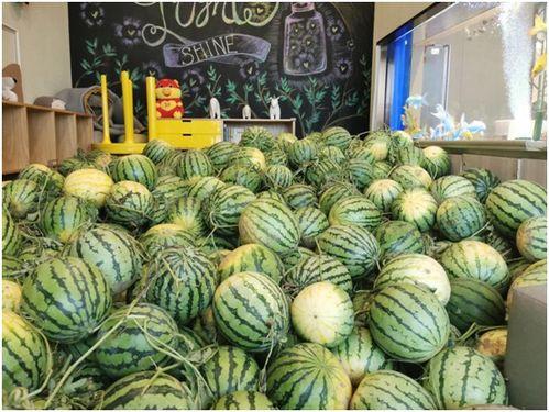 专业吃瓜观众,专业吃瓜观众带你领略幕后风云