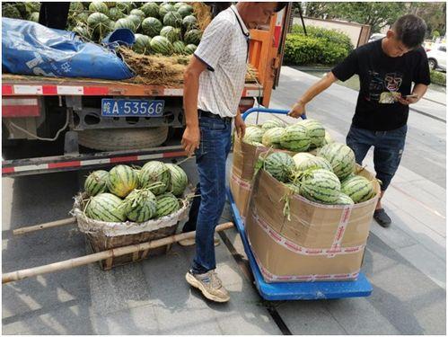 专业吃瓜观众,专业吃瓜观众带你领略幕后风云