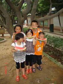 专业吃瓜观众,专业吃瓜观众带你领略幕后风云