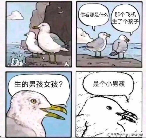 吃瓜不给钱欺负卖瓜老农