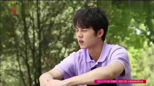 吃瓜集体小说,揭秘吃瓜群众的奇幻冒险之旅