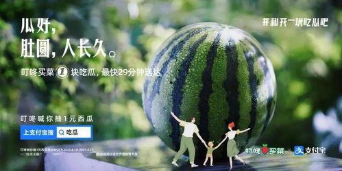 吃瓜菜的文案,探寻美味与健康的完美融合