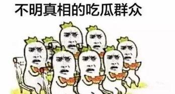吃瓜懂你