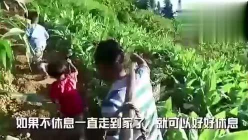 梁山龙城吃瓜视频,揭秘网红美食背后的故事