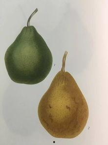 志臻吃瓜,揭秘娱乐圈背后的那些事儿