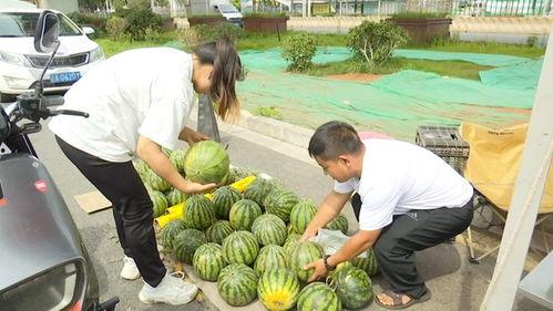 吃瓜两两,揭秘娱乐圈幕后真相