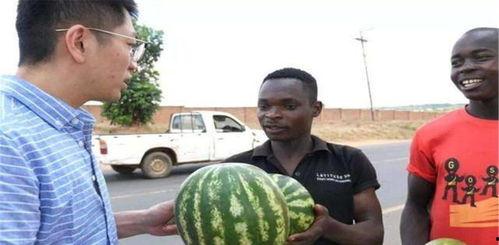 谁敢吃某某人的瓜,谁敢吃某某人的瓜，真相大揭秘