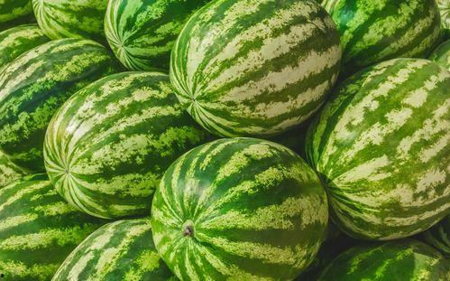 吃瓜音频在哪找,带你走进声音世界的幕后