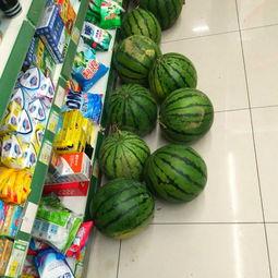 吃瓜整蛊好友,揭秘吃瓜整蛊好友的欢乐秘籍