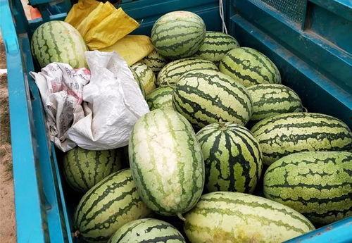 吃瓜到警局,一场意外引发的警民互动