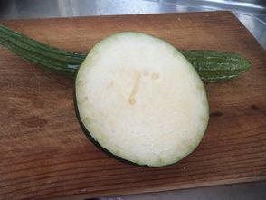 网络吃瓜酱,揭秘娱乐圈幕后真相，带你领略娱乐界的风云变幻