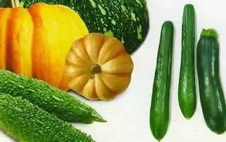 吃瓜摄影作品,一场视觉与味蕾的盛宴