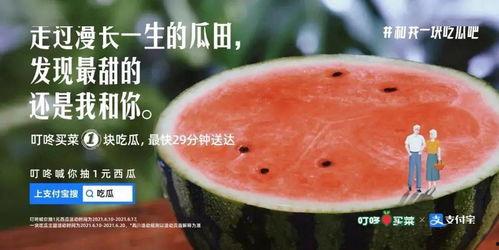 高秋吃瓜的文案,高秋吃瓜的甜蜜时光